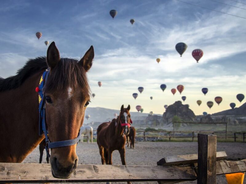 30 AĞUSTOS ÖZEL KAPADOKYA TURU