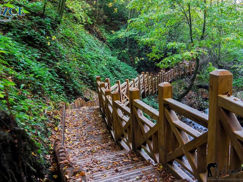 1 MAYIS ÖZEL EFTENİ GÖLÜ DÜZCE ŞELALER TURU