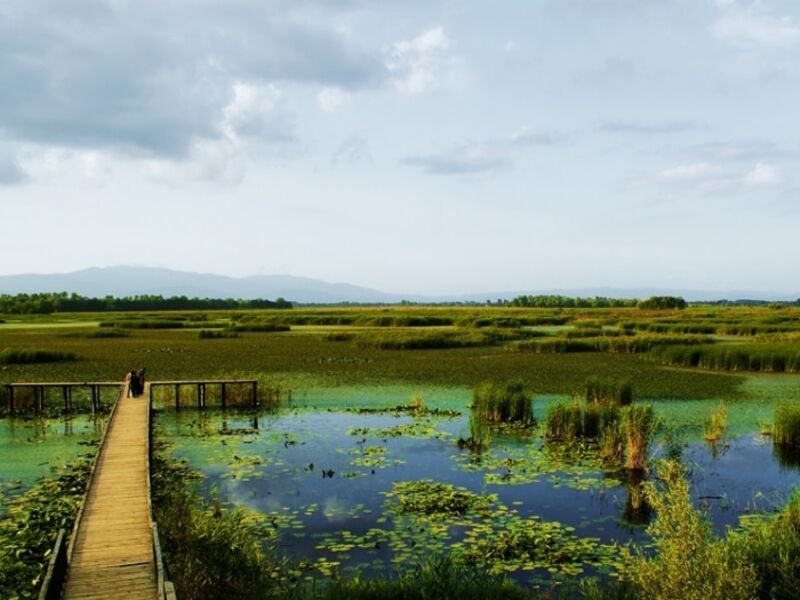 ANNELER GÜNÜ ÖZEL EFTENİ GÖLÜ DÜZCE ŞELALER TURU