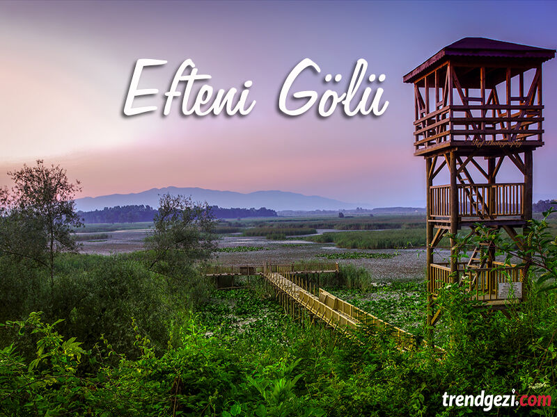 KURBAN BAYRAMI ÖZEL EFTENİ GÖLÜ DÜZCE ŞELALER TURU