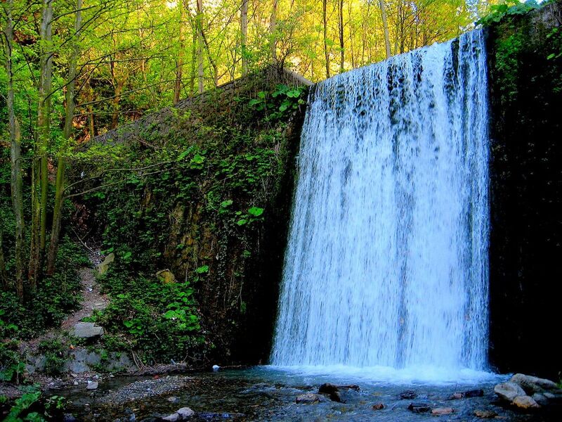 1 MAYIS ÖZEL SAPANCA MAŞUKİYE ORMANYA TURU