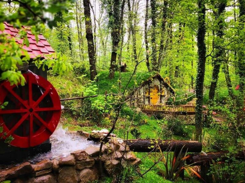 1 MAYIS ÖZEL SAPANCA MAŞUKİYE ORMANYA TURU