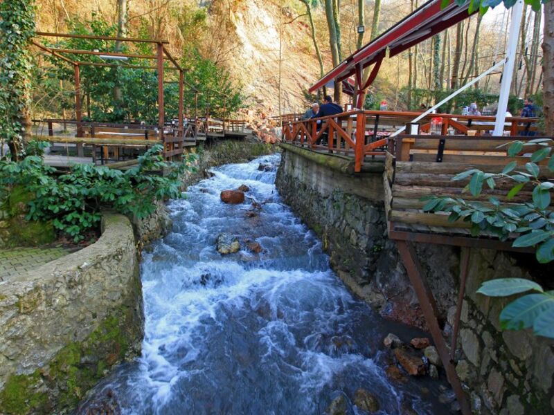 BABALAR GÜNÜ ÖZEL SAPANCA MAŞUKİYE ORMANYA TURU