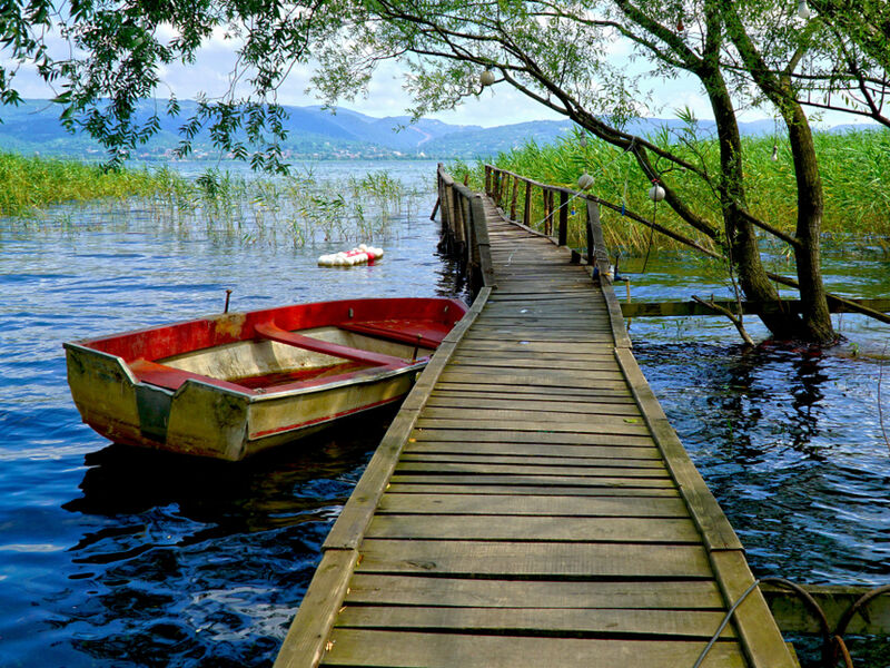 KURBAN BAYRAMI ÖZEL SAPANCA MAŞUKİYE ORMANYA TURU
