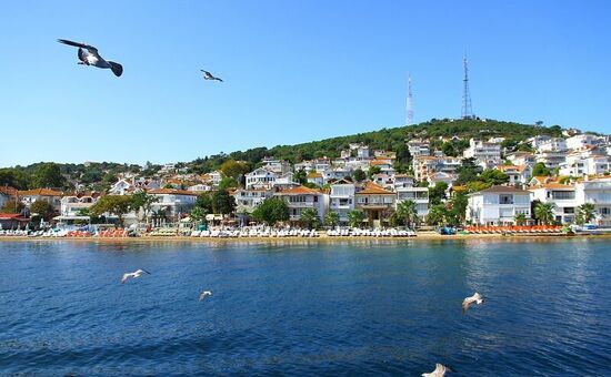 KURBAN BAYRAMI ÖZEL  İSTANBUL ADALAR SARAYLAR ŞİLE AĞVA TURU