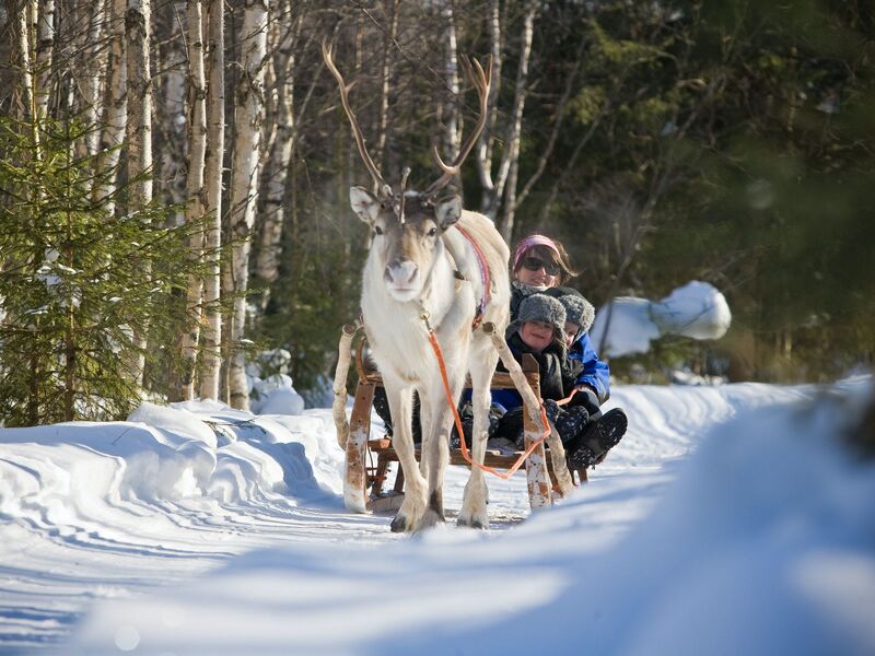 LAPLAND BEYAZ ROTALAR SÖMESTR TURU (FREEBİRD İLE)