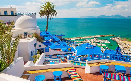 ELEGANT TUNUS Türk Hava Yolları ile 3 Gece