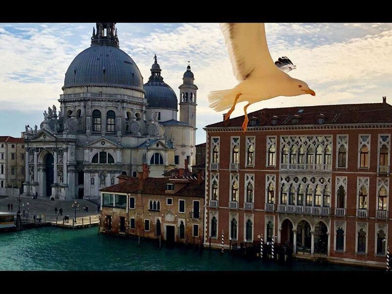 Thy ile Grand Viva İtalya Turu -FCO-MXP