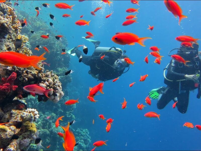 ANKARA`DAN MAXİ HERŞEY DAHİL SHARM TURU Pegasus Havayolları ile 3 gece