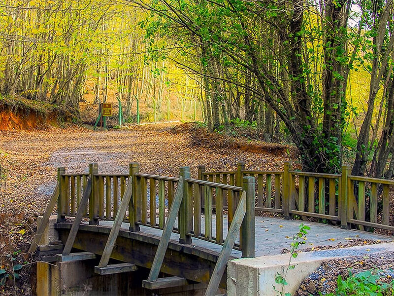 RAMAZAN BAYRAMI ÖZEL İSTANBUL ADALAR SARAYLAR ŞİLE AĞVA TURU