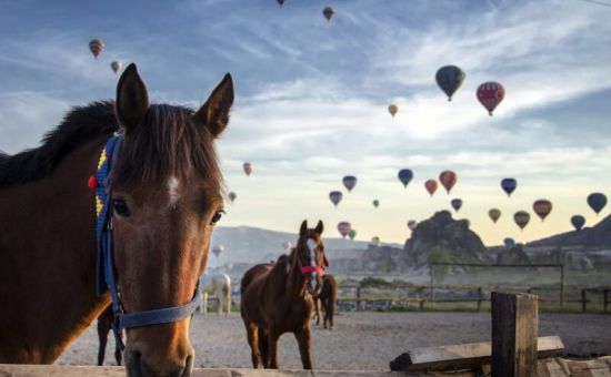 KAPADOKYA & IHLARA VADİSİ TURU
