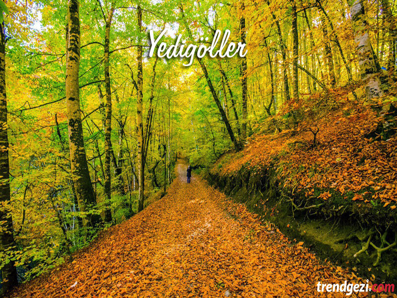 23 NİSAN ÖZEL YEDİGÖLLER TURU