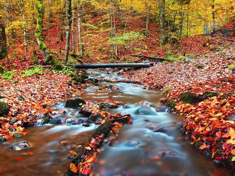 RAMAZAN BAYRAMI ÖZEL YEDİGÖLLER TURU