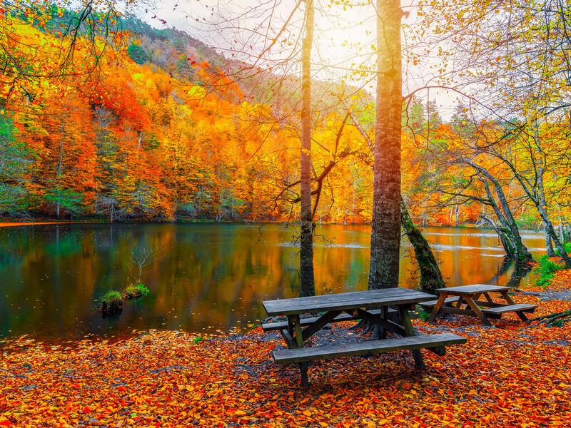 BABALAR GÜNÜ ÖZEL YEDİGÖLLER TURU